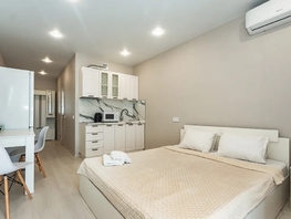 Снять однокомнатную квартиру Береговая ул, 25  м&sup2;, 3770 рублей