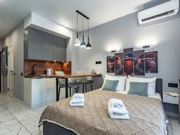 Снять однокомнатную квартиру Соколова пр-кт, 23  м&sup2;, 3800 рублей