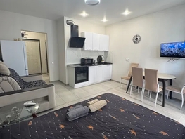 Снять однокомнатную квартиру Сиверса пр-кт, 28  м&sup2;, 3600 рублей