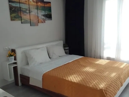 Снять однокомнатную квартиру Заводская ул, 27  м&sup2;, 2600 рублей