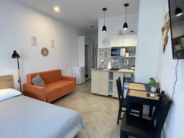 Снять однокомнатную квартиру Соколова пр-кт, 22  м&sup2;, 2700 рублей