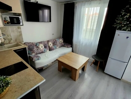 Снять однокомнатную квартиру Платона Кляты ул, 30  м&sup2;, 2500 рублей