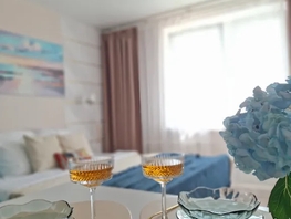 Снять однокомнатную квартиру Дмитрия Петрова ул, 28  м&sup2;, 2500 рублей