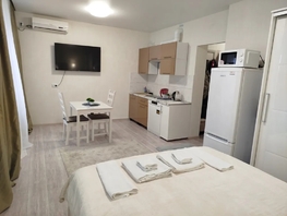 Снять однокомнатную квартиру Дмитрия Петрова ул, 28  м&sup2;, 2150 рублей