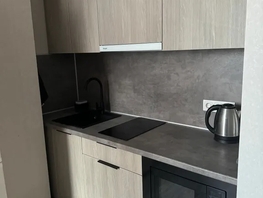 Снять однокомнатную квартиру Соколова пр-кт, 24  м&sup2;, 3000 рублей