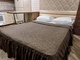 Снять однокомнатную квартиру Береговая ул, 30  м&sup2;, 4000 рублей