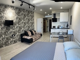 Снять однокомнатную квартиру Элеваторный пер, 28  м&sup2;, 2871 рублей