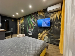 Снять однокомнатную квартиру Александра Печерского ул, 27  м&sup2;, 3000 рублей