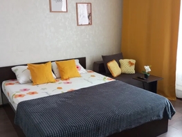 Снять однокомнатную квартиру Маршала Жукова пр-кт, 30  м&sup2;, 2800 рублей