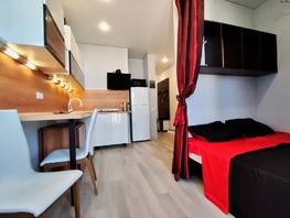 Снять однокомнатную квартиру Мечникова ул, 25  м&sup2;, 3800 рублей