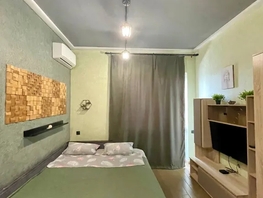Снять однокомнатную квартиру Пановой ул, 24  м&sup2;, 2750 рублей