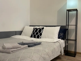 Снять однокомнатную квартиру Соколова пр-кт, 31  м&sup2;, 3500 рублей