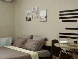 Снять однокомнатную квартиру Элеваторный пер, 28  м&sup2;, 2871 рублей