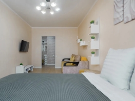 Снять однокомнатную квартиру Доломановский пер, 45  м&sup2;, 3658 рублей