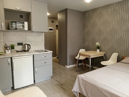 Снять однокомнатную квартиру Мечникова ул, 24  м&sup2;, 2988 рублей