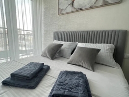 Снять однокомнатную квартиру Соколова пр-кт, 20  м&sup2;, 3500 рублей