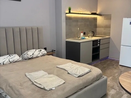 Снять однокомнатную квартиру Соколова пр-кт, 22  м&sup2;, 2950 рублей