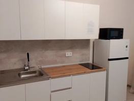 Снять однокомнатную квартиру Сиверса пр-кт, 41  м&sup2;, 3165 рублей
