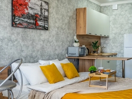 Снять однокомнатную квартиру Береговая ул, 30  м&sup2;, 2753 рублей