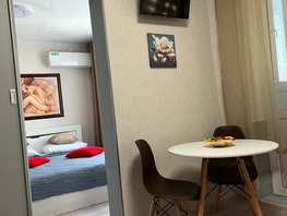 Снять однокомнатную квартиру Дмитрия Петрова ул, 30  м&sup2;, 2585 рублей
