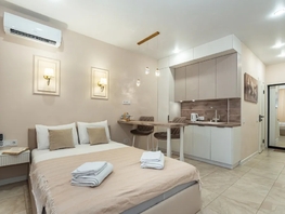 Снять однокомнатную квартиру Соколова пр-кт, 23  м&sup2;, 3300 рублей