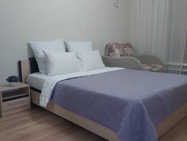 Снять однокомнатную квартиру Заводская ул, 39  м&sup2;, 3350 рублей