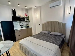 Снять однокомнатную квартиру Ленина пр-кт, 25  м&sup2;, 2950 рублей