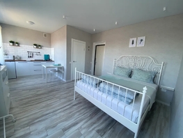 Снять однокомнатную квартиру Карантинная ул, 25  м&sup2;, 4090 рублей