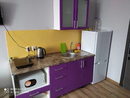 Снять однокомнатную квартиру Чехова ул, 20  м&sup2;, 3000 рублей