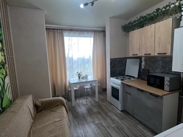 Снять однокомнатную квартиру Адмирала Крюйса ул, 37  м&sup2;, 2500 рублей