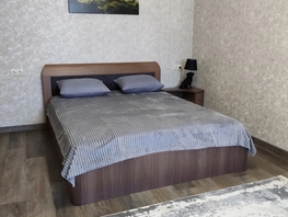 Снять двухкомнатную квартиру Сенной пер, 55  м&sup2;, 5500 рублей