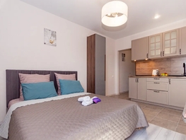 Снять однокомнатную квартиру Соколова пр-кт, 25  м&sup2;, 3200 рублей