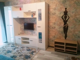 Снять однокомнатную квартиру Днепровский пер, 33  м&sup2;, 2500 рублей
