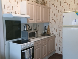 Снять однокомнатную квартиру Батуринская ул, 29  м², 30000 рублей
