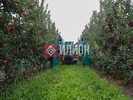 Продается Дачный участок 10000  сот., 35000000 рублей
