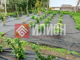 Продается Дачный участок Черничная ул (садовые участки Очистные), 4  сот., 1300000 рублей