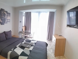 Снять однокомнатную квартиру Танкистов пер, 20  м&sup2;, 2500 рублей