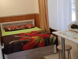 Снять однокомнатную квартиру Красномаякская ул, 14  м&sup2;, 3550 рублей