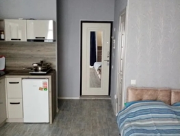 Снять однокомнатную квартиру Михаила Баранова ул, 27  м&sup2;, 3500 рублей