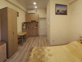 Снять однокомнатную квартиру Аллея Дружбы ул, 21  м&sup2;, 2500 рублей