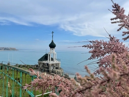Снять однокомнатную квартиру Качинское ш, 26  м&sup2;, 3000 рублей