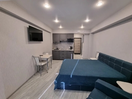 Снять однокомнатную квартиру Челнокова ул, 27  м&sup2;, 3000 рублей