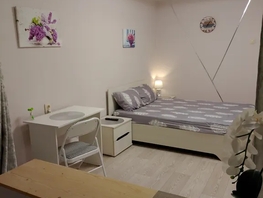 Снять однокомнатную квартиру Генерала Острякова пр-кт, 30  м&sup2;, 3300 рублей