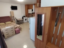 Снять однокомнатную квартиру Людмилы Бобковой ул, 22  м&sup2;, 2400 рублей