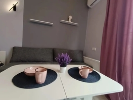 Снять однокомнатную квартиру Челнокова ул, 25  м&sup2;, 2500 рублей
