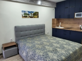 Снять однокомнатную квартиру Челнокова ул, 27  м&sup2;, 4000 рублей