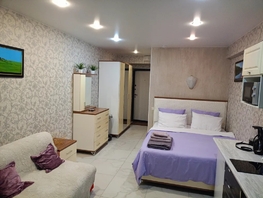 Снять однокомнатную квартиру Челнокова ул, 25  м&sup2;, 5000 рублей