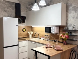 Снять однокомнатную квартиру Беспалова ул, 24  м&sup2;, 2850 рублей