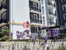 Продается 1-комнатная квартира Виноградная ул, 31  м&sup2;, 5401600 рублей