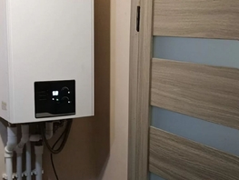 Продается Дом Просмушкиных ул, 270  м&sup2;, участок 2 сот., 17500000 рублей
